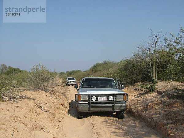 Fahrt durch eine unbefestigte  tiefe Sandpiste im Westen des Gran Chaco an der Grenze zwischen Paraguay und Bolivien