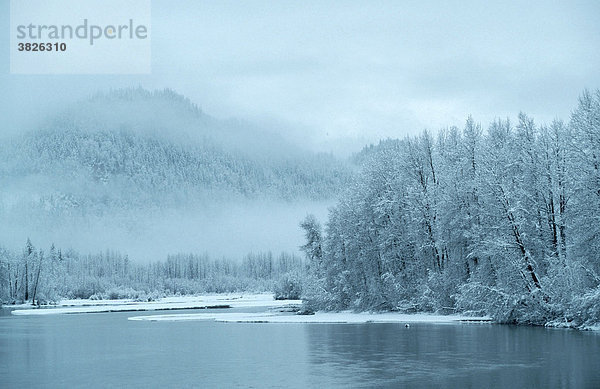 Wintermorgen am Chilkat-Fluss  Alaska  USA