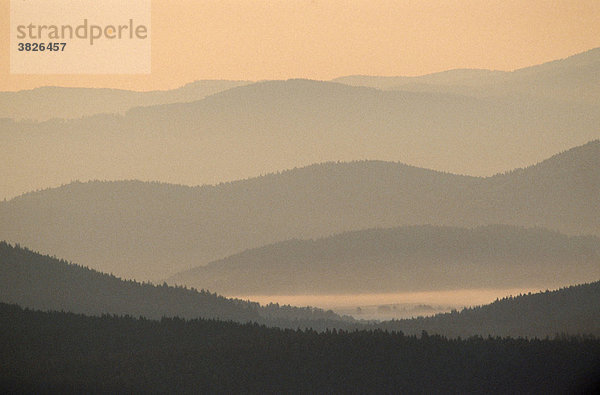 Blick auf den Bayrischen Wald vom Lusen in der Morgendaemmerung  Bayern  Deutschland