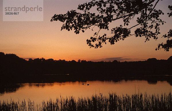 Salemer See in der Abenddaemmerung  Salem  Schleswig-Holstein  Deutschland