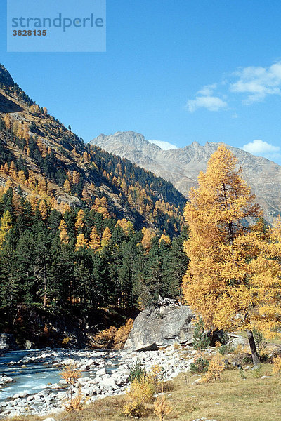 Rosegtal im Herbst  Engadin  Graubuenden  Schweiz