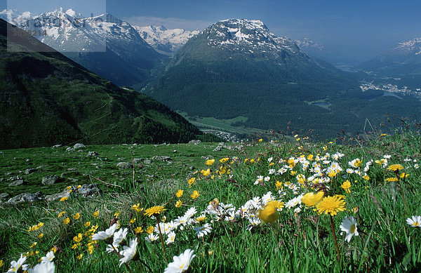 Blick auf Muottas Muragl  Oberengadin  Graubuenden  Schweiz Graubünden