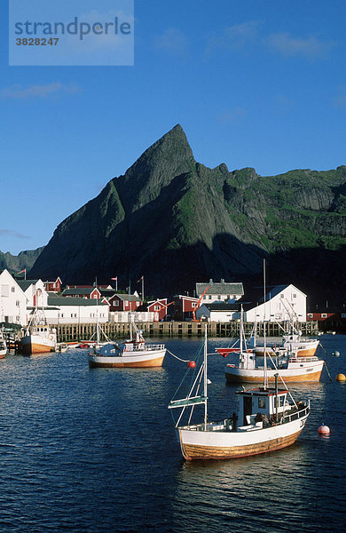 Schiffe im Hafen  Insel Moskenes  Reine  Lofoten  Norwegen