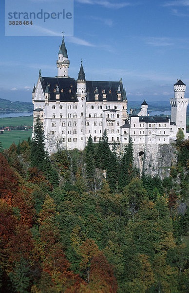 Castle Neuschwanstein  Bavaria  Germany