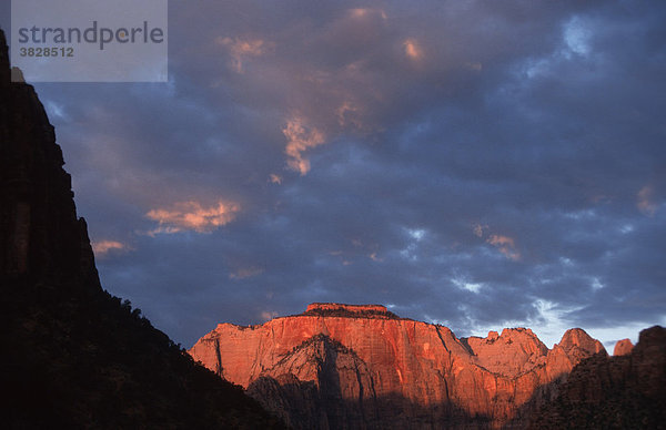 Sandstone formation West Temple in early morning light  view from Zion-Mt.-Carmel Highway  Zion national park  Utah  USA