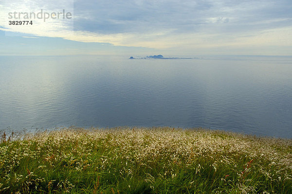 Weiter Blick vom der grasbewachsenen Mahornet auf Vaeröy auf die Inseln Röst Lofoten Norwegen