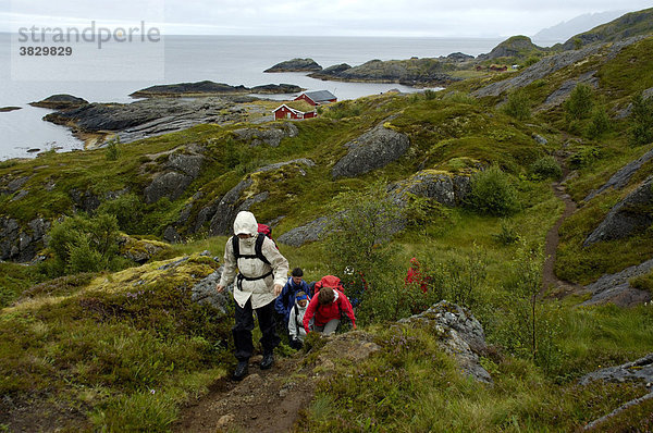 MR Wanderer auf Küstenpfad im Regen bei Nesland Flakstadöya Lofoten Norwegen