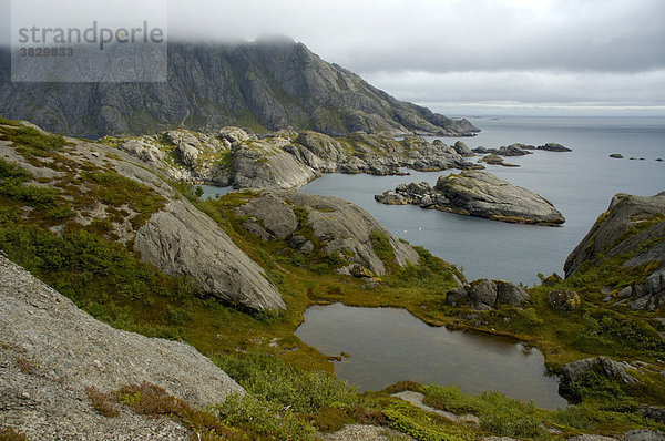 Felsige Küstenlandschaft bei Nusfjord Flakstadöya Lofoten Norwegen