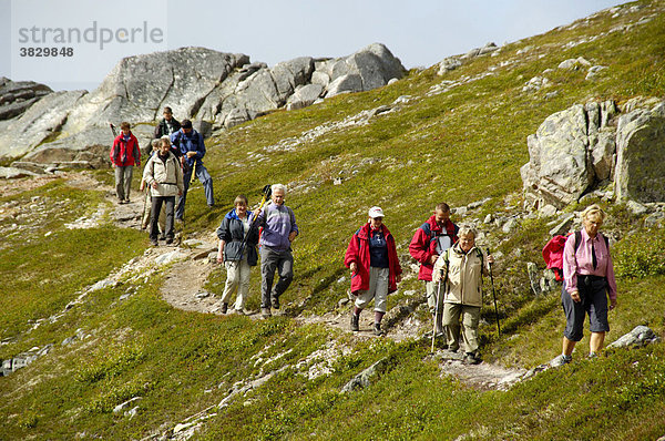 MR Wandergruppe auf dem Pfad durch das Hochfjell Vestvagöya Lofoten Norwegen