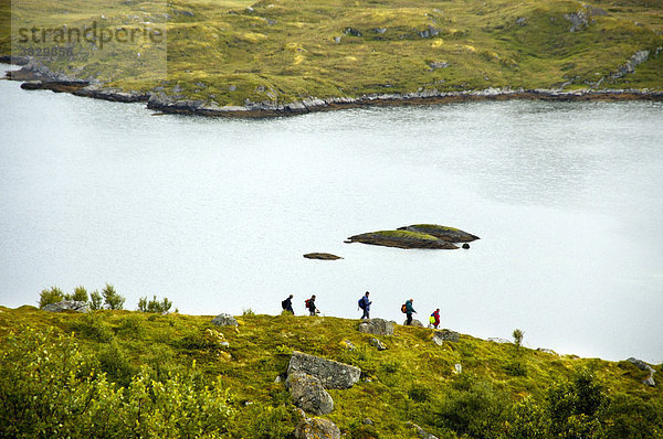 MR Gruppe Wanderer als Silhouette vor Fjord Torsfjorden Moskenesöya Lofoten Norwegen