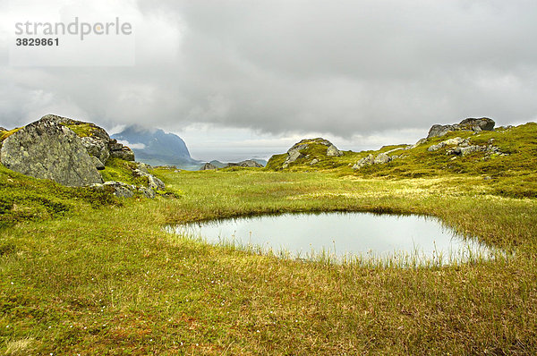 Kleiner Moorsee im Fjell Vestvagöya Lofoten Norwegen