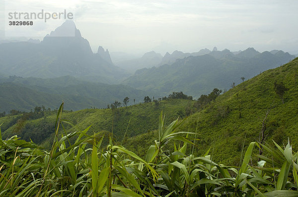 Grüne Gebirgswelt bei Kasi Laos