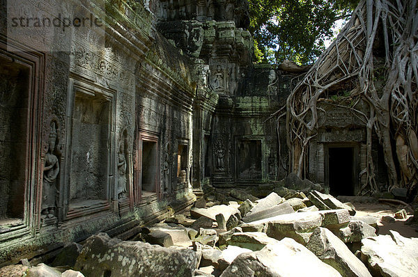 Malerisch verfallener Khmer Tempel im Urwald Ta Prohm Angkor Siem Reap Kambodscha