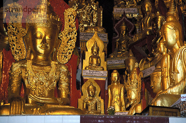 Viele goldene Buddhafiguren in einer Höhle Pindaya Cave Shan State Burma