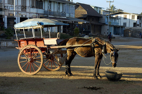 Gespann Pferd mit Kutsche auf der Straße Pindaya Shan State Burma
