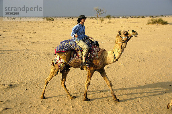 Kamel Trekking junge Frau mit Hut reitet auf einem Kamel im Sand der weiten Wüste Thar bei Jaisalmer Rajasthan Indien