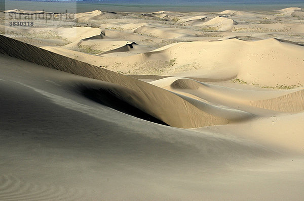 Weite Sanddünen in der Wüste Gobi Khongoryn Els Gurvan Saikhan Nationalpark Mongolei