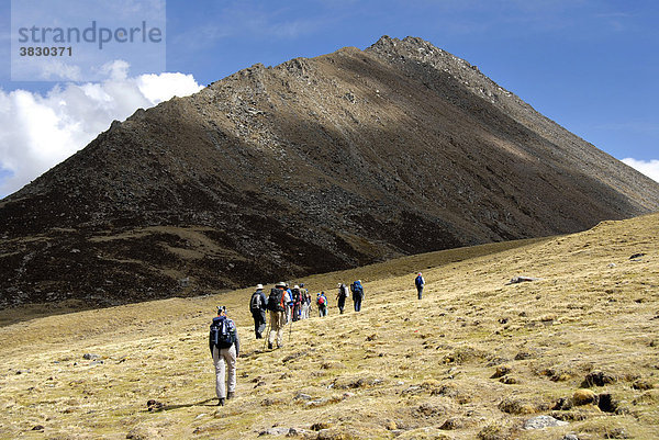 Trekkinggruppe läuft wild über Weide vor hohem Berg Tsotup-chu Tal Tibet China