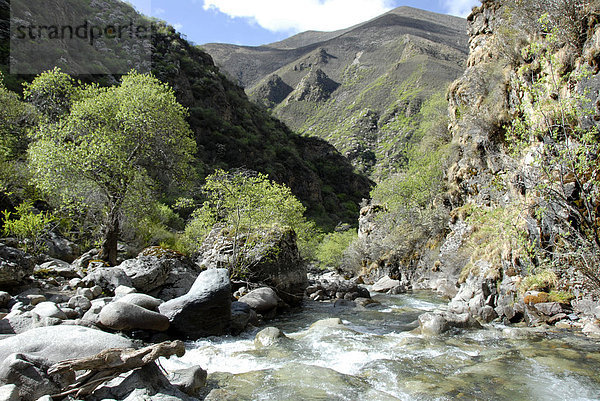 Wilder Gebirgsbach in lieblich grünem Tal Gen Do Tibet China