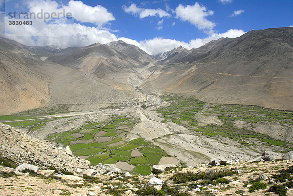 Blick in ein weites grünes Tal Schwemmkegel eines Gebirgsbaches Gangka bei Nyalam Tibet China