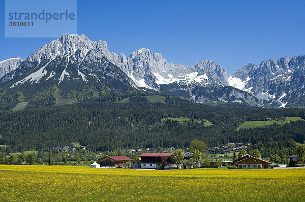 Ellmau am Wilden Kaiser bei Scheffau Tirol Österreich