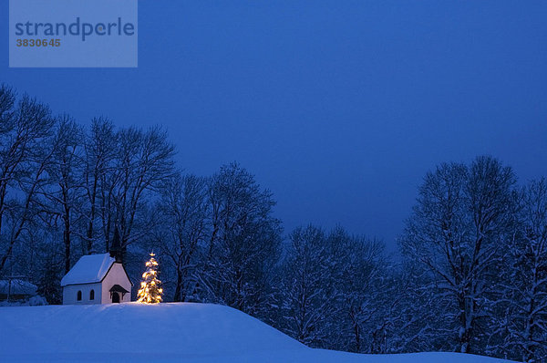 Kapelle in Winkl bei Fleck südlich von Bad Tölz im Isartal Oberbayern Deutschland mit beleuchtetem Christbaum Weihnachtsbaum
