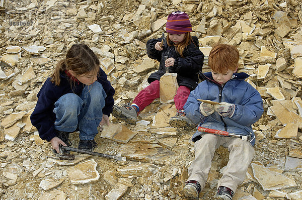 Eichstätt im Altmühltal Oberbayern Deutschland Steinbruch Blumenberg Kinder sammeln und klopfen suchen nach Fossilien im Kalkstein der Sollnhofer Platten