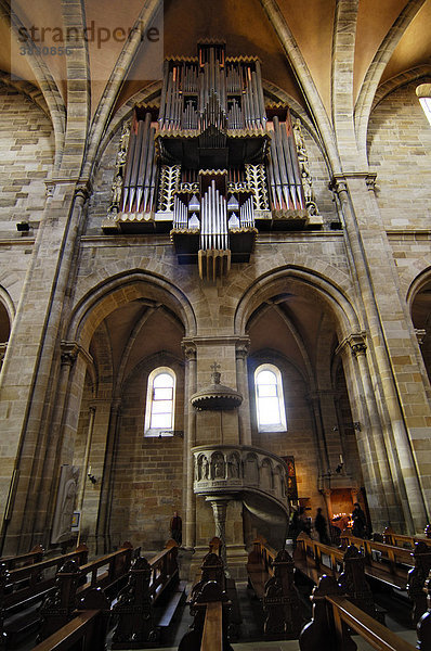 Der Dom  Orgel und Kanzel  Bamberg  Oberfranken  Bayern