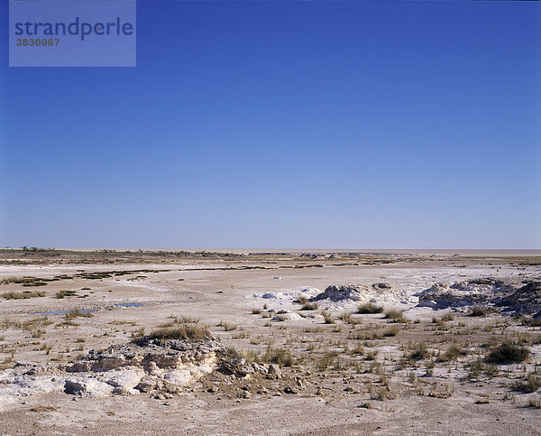 Sueda Wasserstelle mit Salzpfanne - Etosha National Park - Namibia