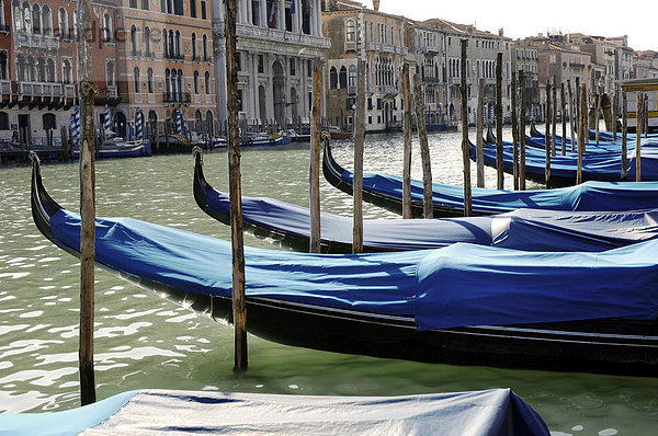Blau zugedeckte Gondeln am Canale Grande in Venedig Italien