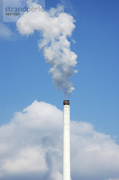 Rauchender Schornstein vor blauem Himmel  Umwelt  Umweltverschmutzung  Emissionswerte  Ruhrgebiet  Ruhrpott  Pott  Gelsenkirchen  NRW  Nordrhein Westfalen  Deutschland