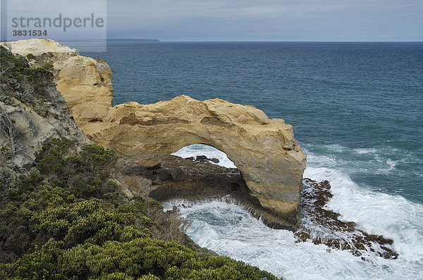 Felsbogen genannt the Arch Küste an der Great Ocean road bei Port Campbell Victoria Australien