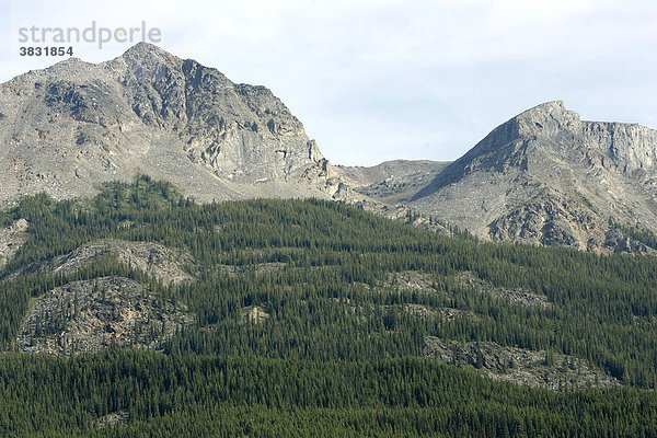 Terry Fox Mountain  British Columbia  Kanada
