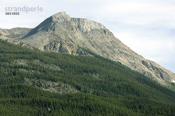 Terry Fox Mountain  British Columbia  Kanada