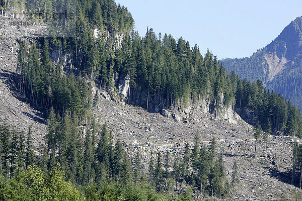 Gerodete Waldflächen in den Bergen auf Vancouver Island  British Columbia  Kanada