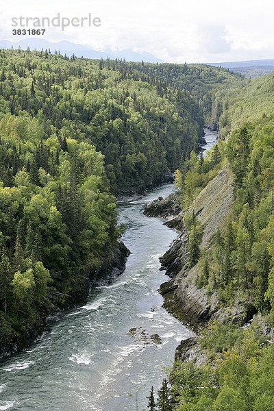 Bulkley River in British Columbia  Kanada