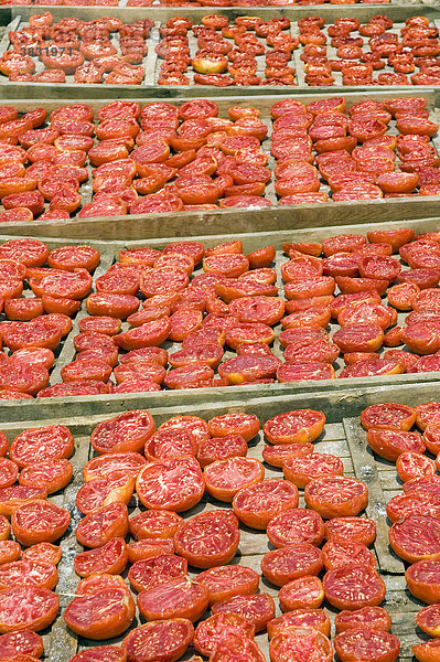 Tomaten werden in der Sonne getrocknet  Mallorca