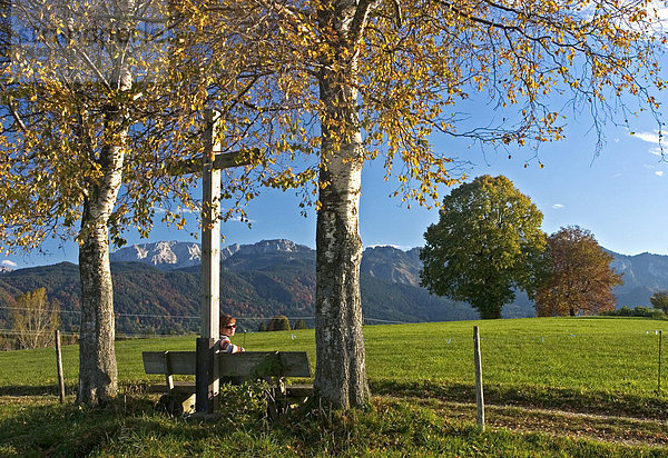 Wegkreuz unter herbstlichen Birken  Wanderer sitzt auf der Bank  Roßhaupten  Allgäu  Ostallgäu  Bayern  Deutschland  BRD  Europa