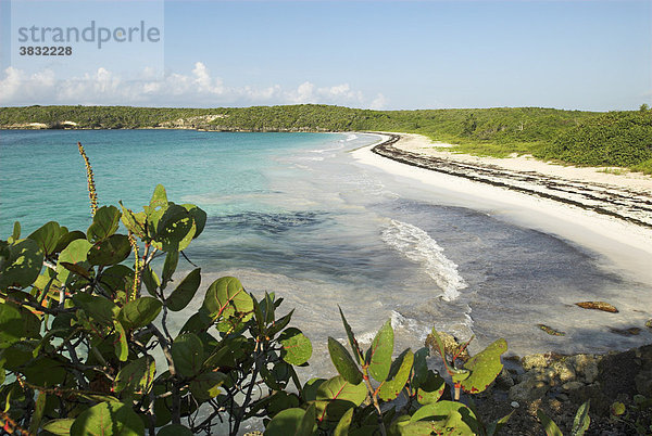 Garcia Beach  Insel Vieques  Puerto Rico