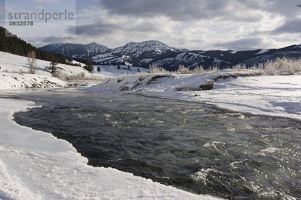 Lamar river im Winter in Yellowstone Nationalpark