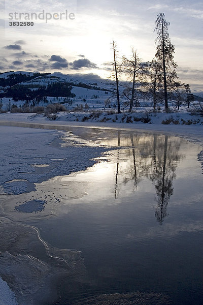 Bäume spiegeln sich in einem Fluß im Winter am frühen Morgen