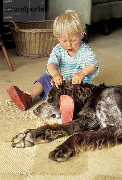 Zweijähriger Junge mit Hund ( Setter )