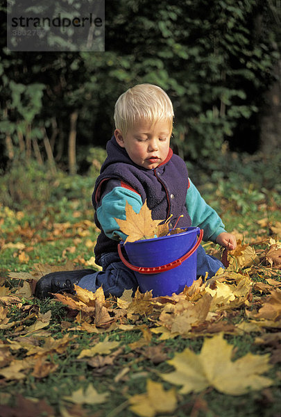 Zwei Jahre alter Junge sammelt Herbstlaub