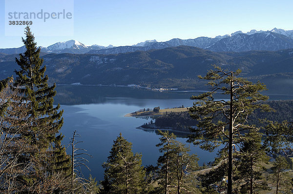 Blick auf den Walchensee gesehen vom Weg auf den Herzogstand  Oberbayern  Bayern  Deutschland