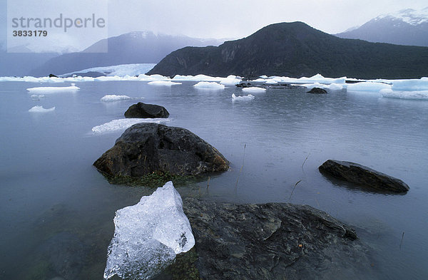 Eisbrocken im Lago Onelli im Nationalpark Los Glaciares Argentinien