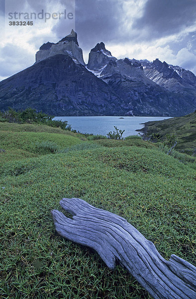 Die Cuernos del Paine im Nationalpark Torres del Paine Chile