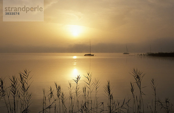 Starnberger See - morgens bei Seeshaupt Oberbayern