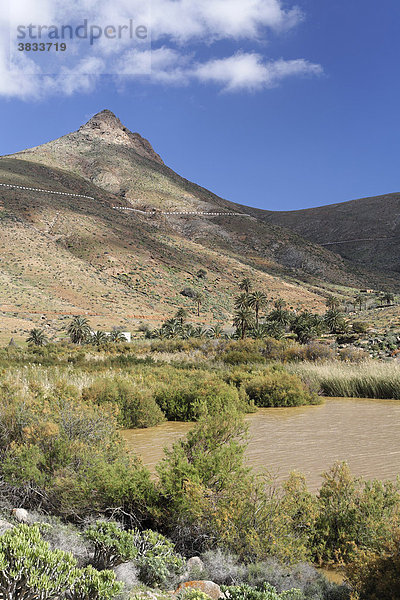 Stausee Embalse de las Penitas nahe Vega de Rio Palmas   Fuerteventura   Kanarische Inseln