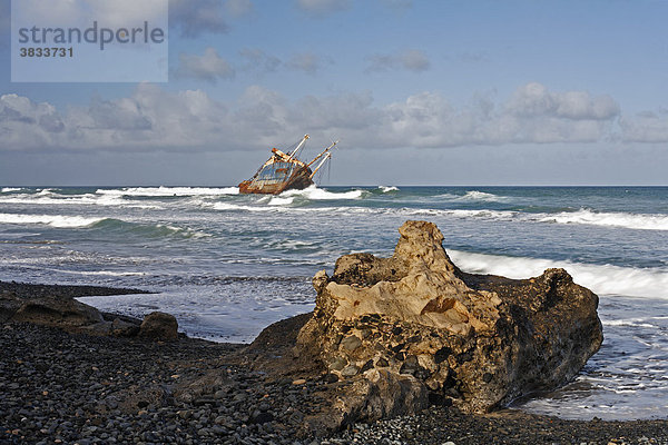 Schiffswrack American Star an Playa de Garcey nahe Pajara   Fuerteventura   Kanarische Inseln