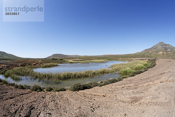 Wasserreservoir bei Triquivijate   Fuerteventura   Kanarische Inseln